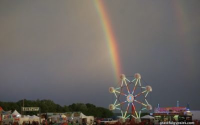 Summer Camp 2016: A Volunteer Perspective