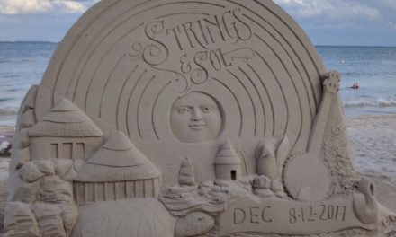 Strings & Sol 2017: Welcome Home, Sol-Mates!