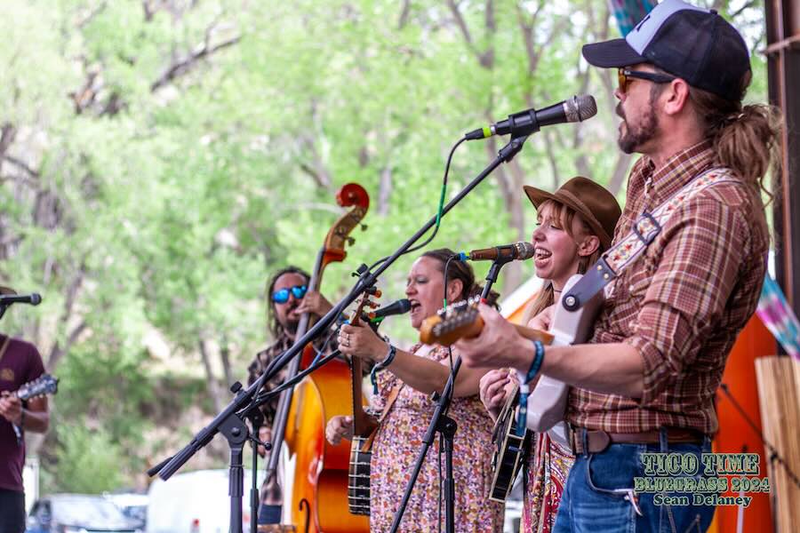 TicoTimeBluegrass_2024_MIghty-Holler_photo-by-Sean-Delaney TicoTimeBluegrass_2024_MIghty-Holler_photo-by-Sean-Delaney