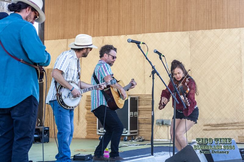 TicoTimeBluegrass_2024_SticksandThorns TicoTimeBluegrass_2024_SticksandThorns