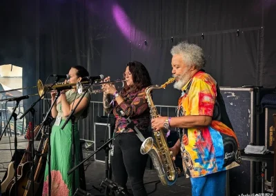 Annapolis Baygrass Festival 2024 | Festy GoNuts