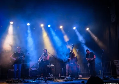 Annapolis Baygrass Festival 2024 | Festy GoNuts