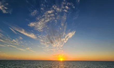 A Beginner’s Guide to Mile 0 Fest Key West: REVIEW
